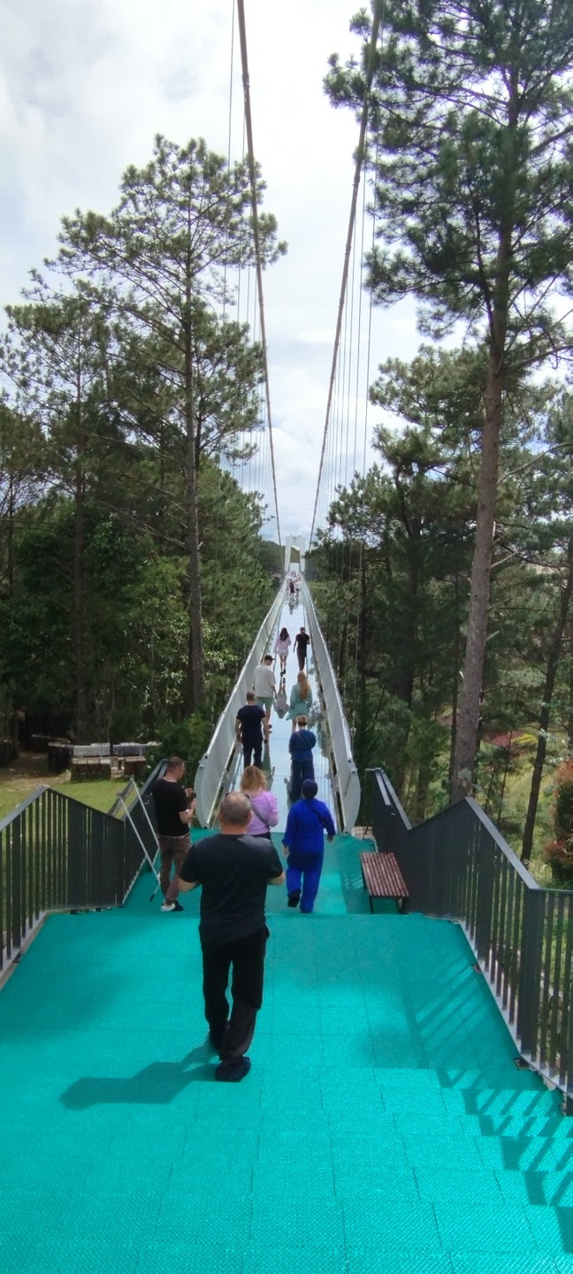 Групповая экскурсия из Нячанга в Далат (Арина)