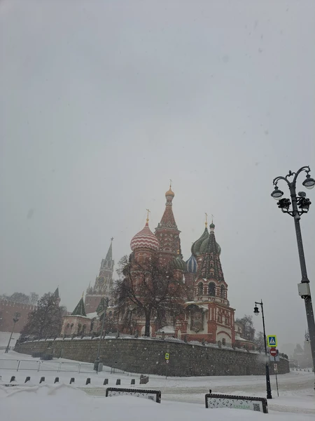Всё очень понравилось. благодарю