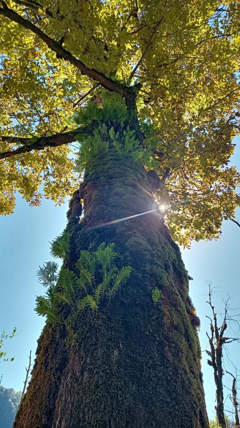 Дополнительно высылать участникам экскурсии гео-позицию места встречи.