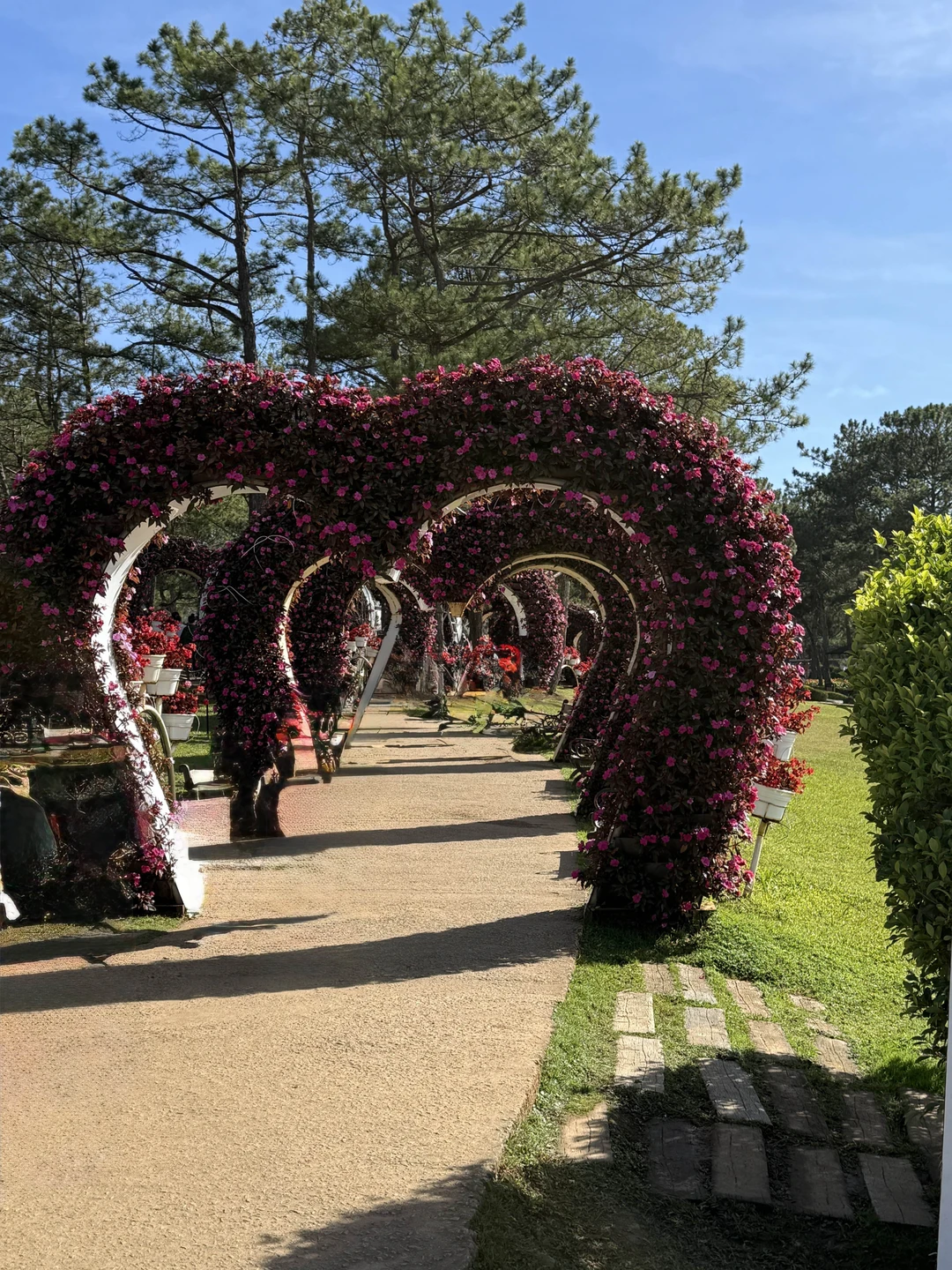 Из Нячанга - в Далат, самый европейский город Юго-Восточной Азии (Ольга)