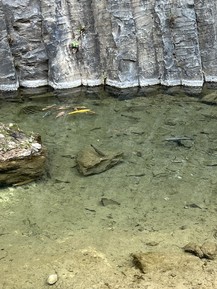 Фото отзыва 6: экскурсия ""