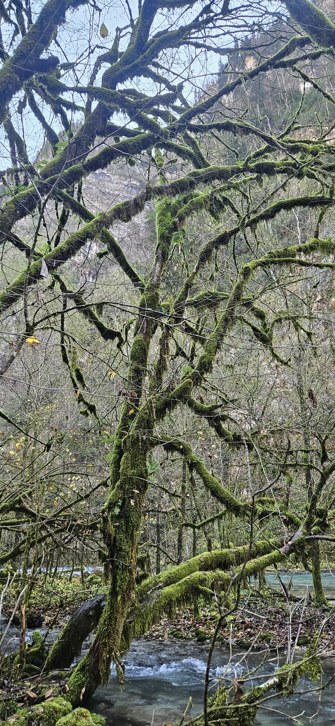 Когда у тебя нет связи (а ее нет))) важно на что-то отвлекаться, как ребёнку. В этом