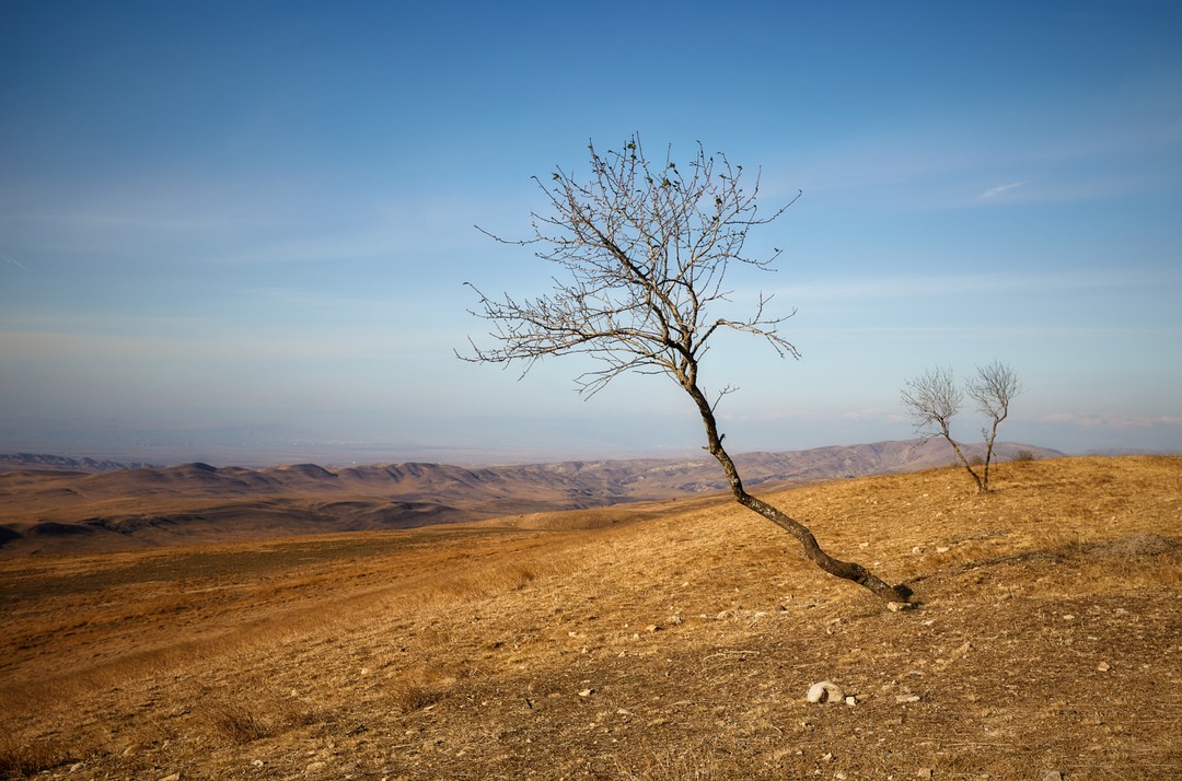 Фотопутешествие в Давид-Гареджа из Тбилиси (Андрей)