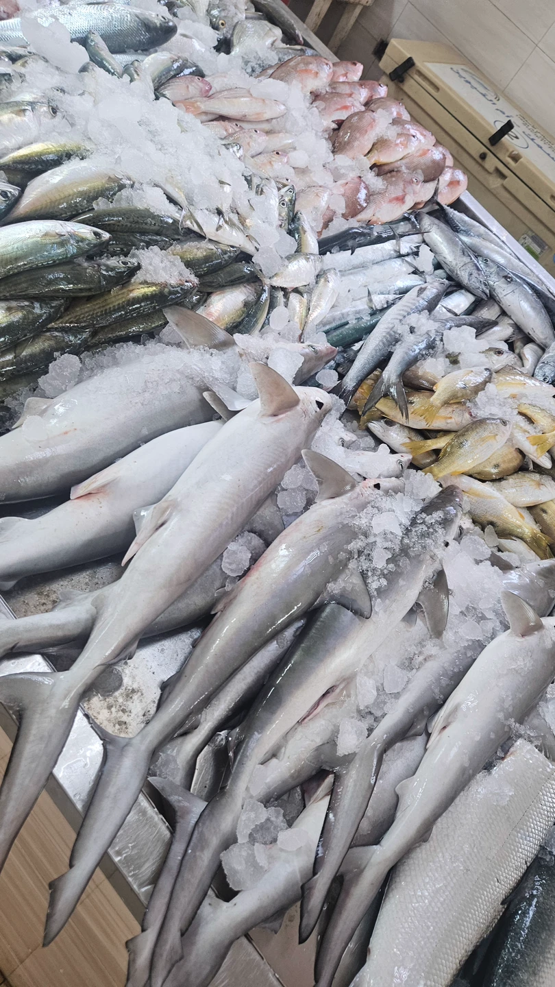 Очень понравилась экскурсия! В комфортном темпе, интересные места. Посмотрели настоящие Эмираты, пообедали и отдохнули на побережье