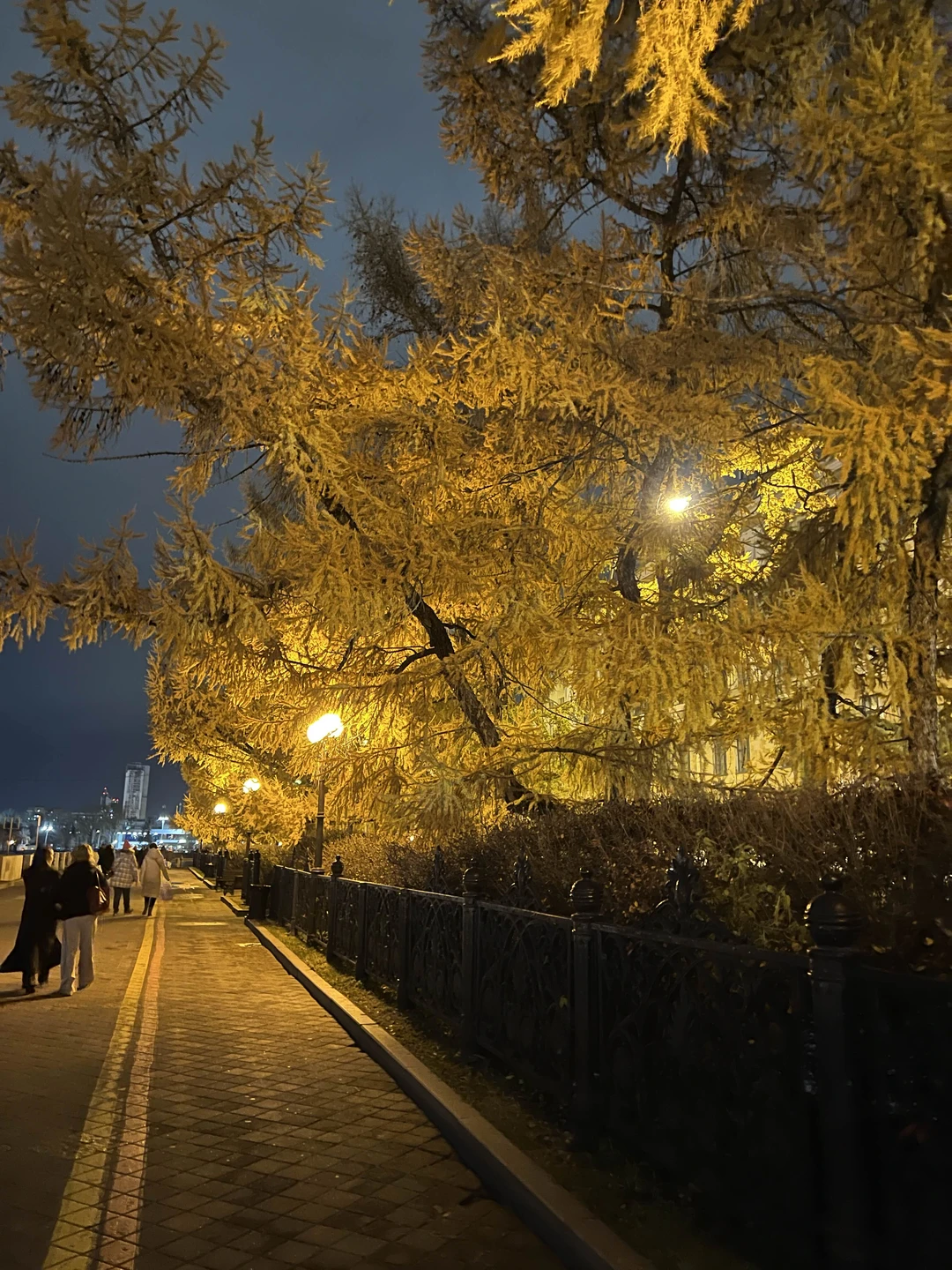 Поскольку в городе по работе, нужна была именно вечерняя экскурсия. Все прошло идеально, очень интересный рассказ