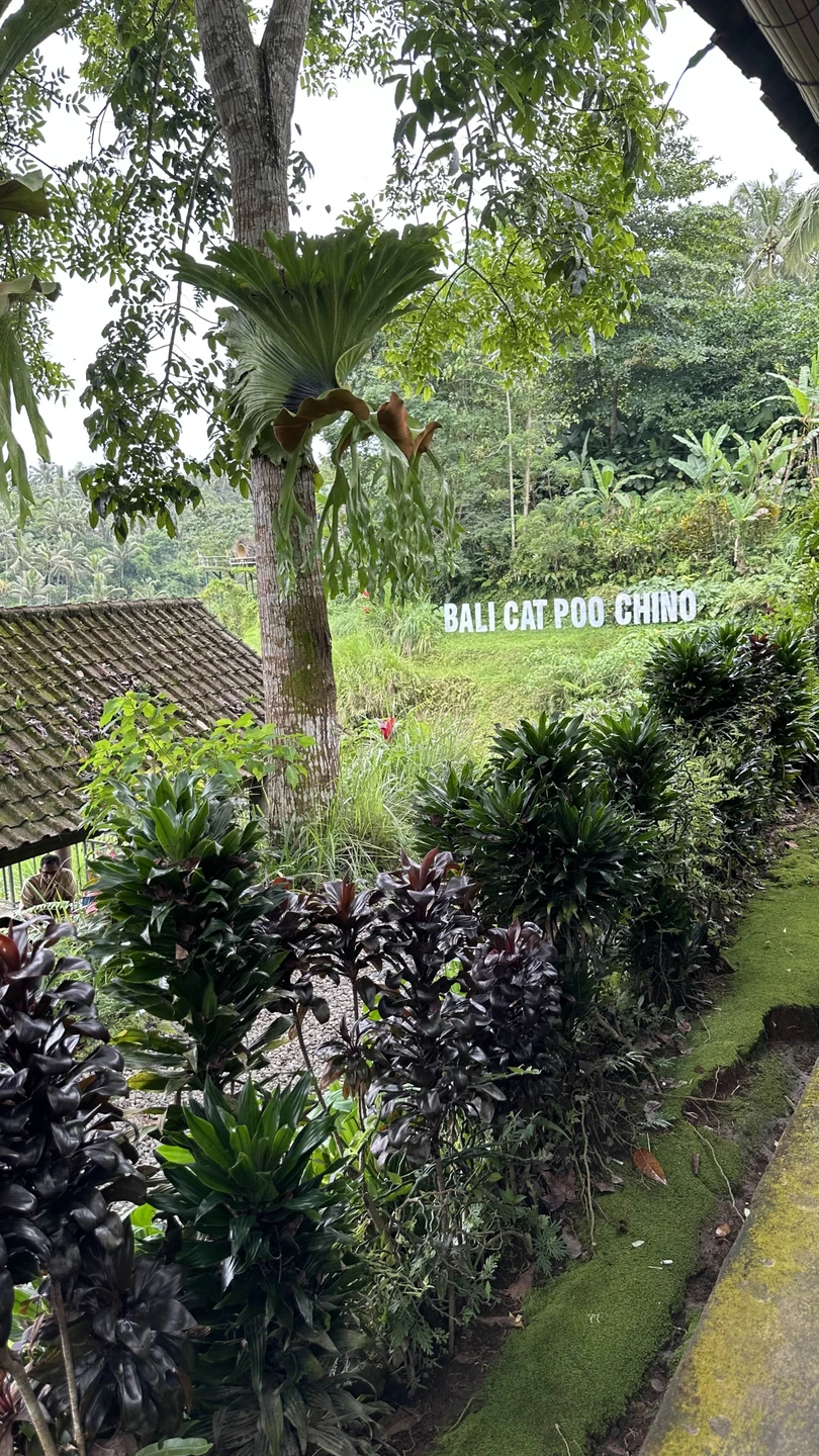 Бали, который вы ждёте (Nadi)