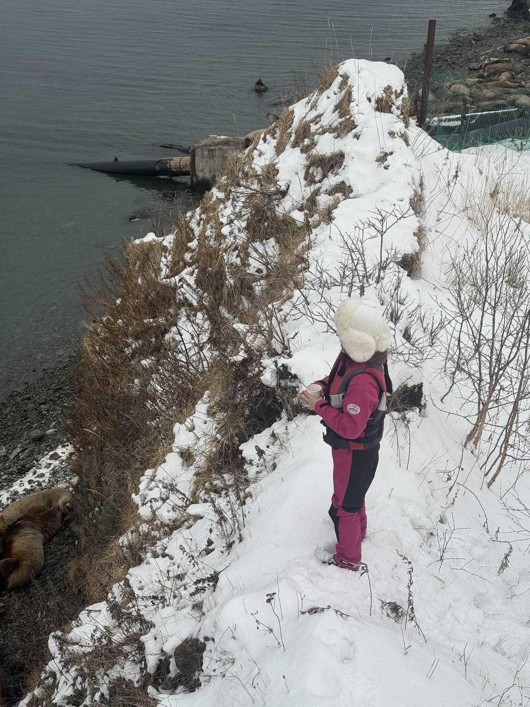 Прекрасная прогулка на сапах! Я вставала на доску сегодня первый раз и осталась в восторге. Гид