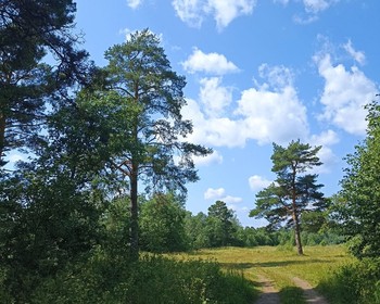 13 км сплава