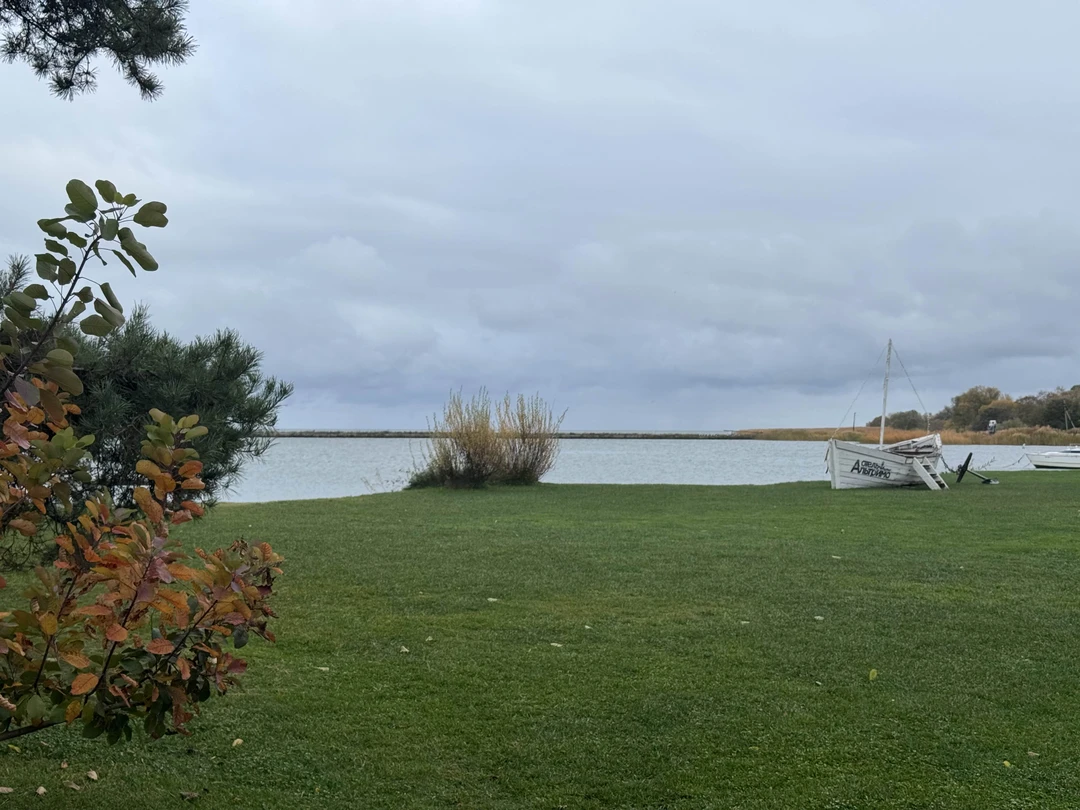 На Куршскую косу с опытным гидом - из Калининграда (Анна)