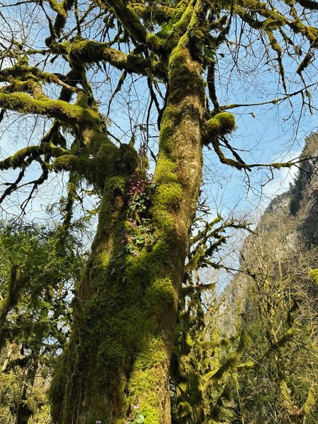 Нашим экскурсоводом был Славик, и это было одно из лучших наших путешествий. На экскурсии была создана