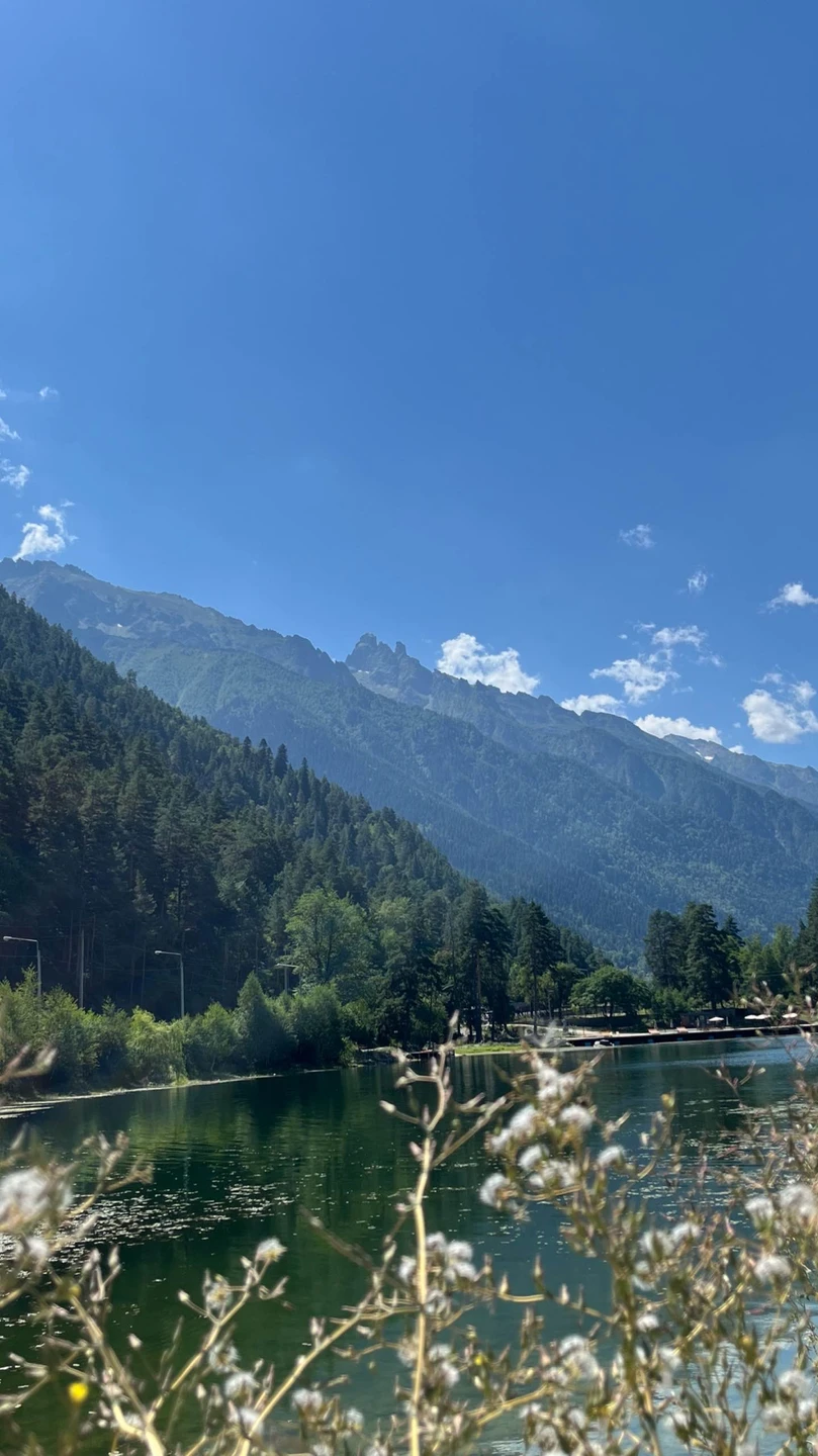 Домбай - край горных великанов и пихтовых лесов: поездка из Пятигорска (Светлана)