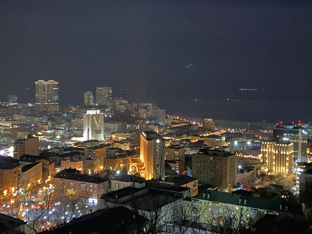 Ночные огни Владивостока (в группе) (Галина)