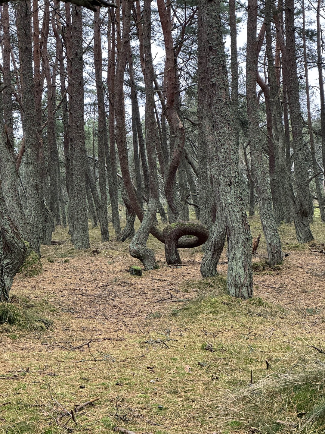 Екатерина - замечательный рассказчик и прекрасный водитель! Пять часов с ней пролетели очень быстро и увлекательно