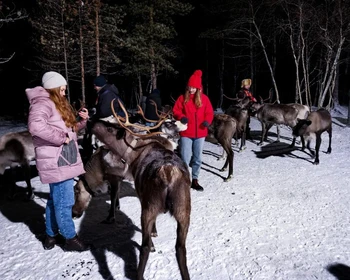 Прогулка по Териберке, выход в море на поиск китов, посещение фермы северных оленей и хаски