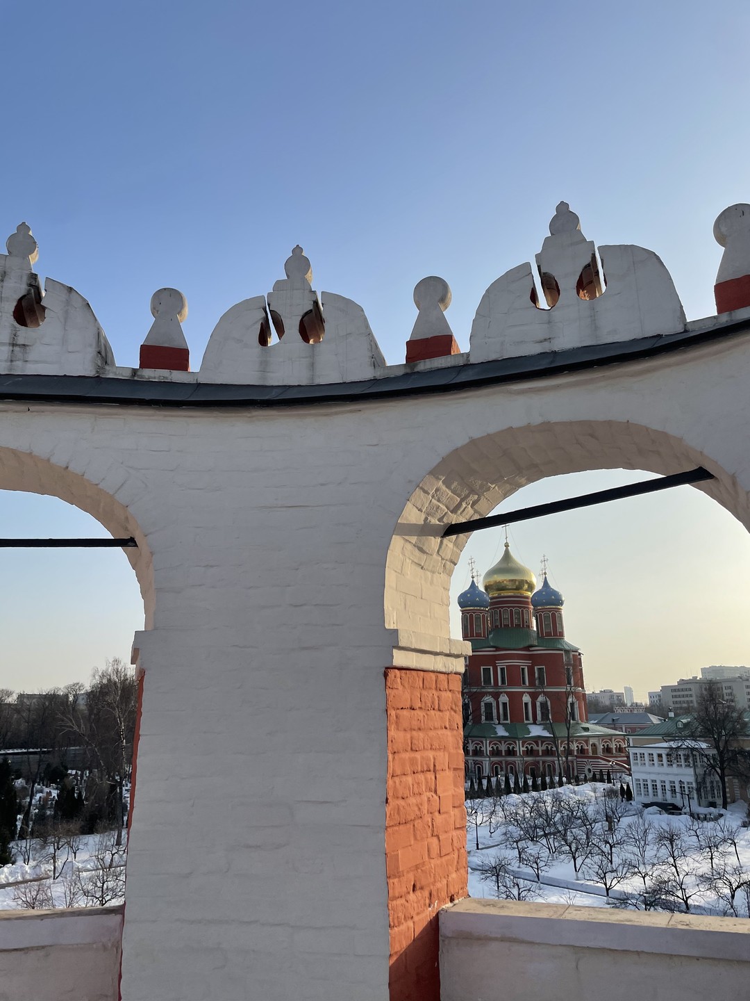 Донской монастырь: от Рюриковичей до патриарха Тихона (Валентина)