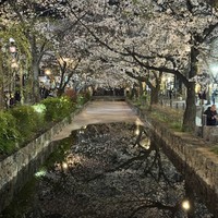 Фото отзыва 2: экскурсия "Духовная столица — Киото"