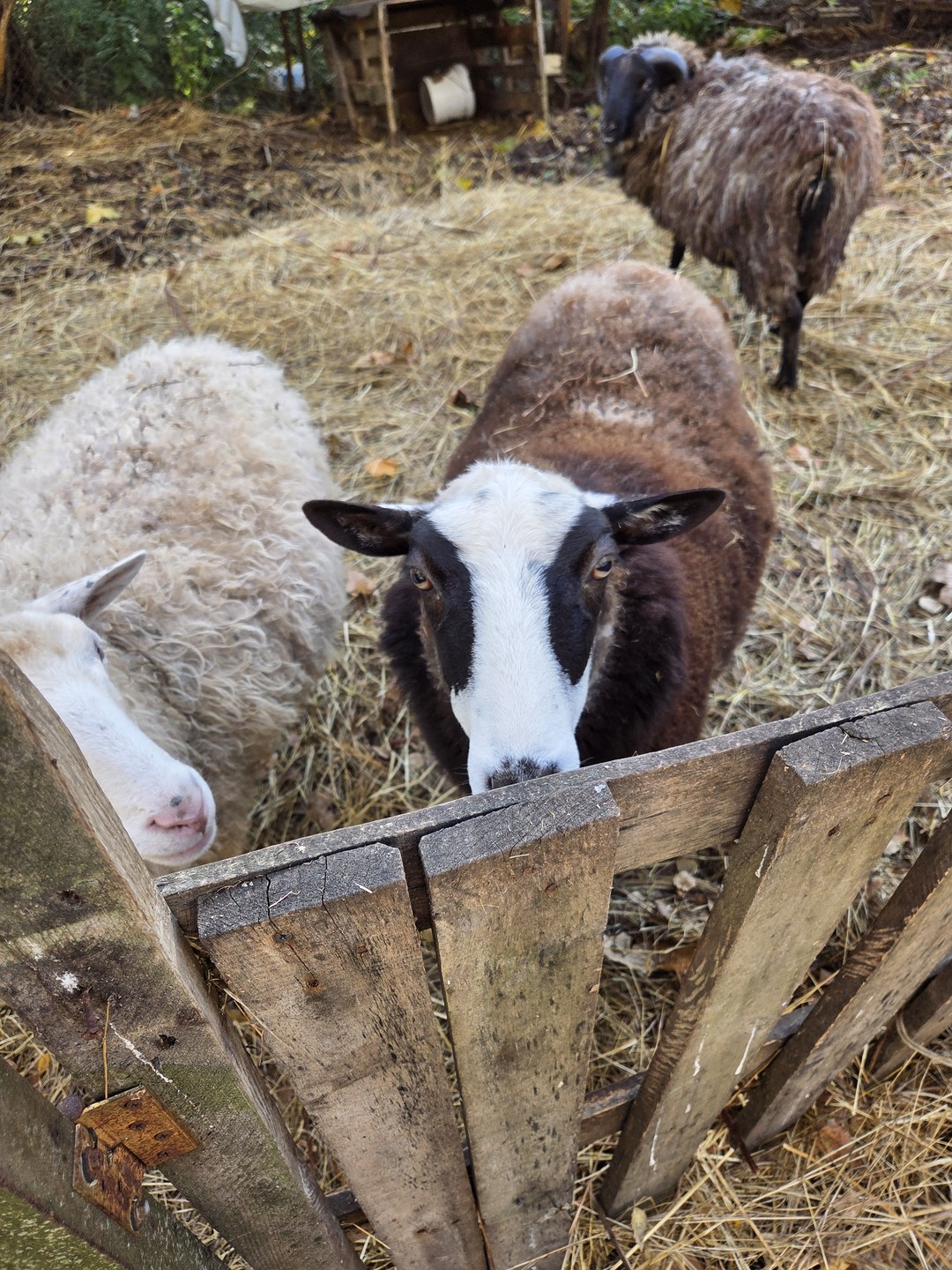 Была замечательная экскурсия! Искренне благодарю! Время пролетело совершенно незаметно. Было очень приятно узнать часть истории, интересные