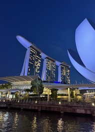 Фото отзыва 6: экскурсия "Вечерний гастрономический Сингапур"