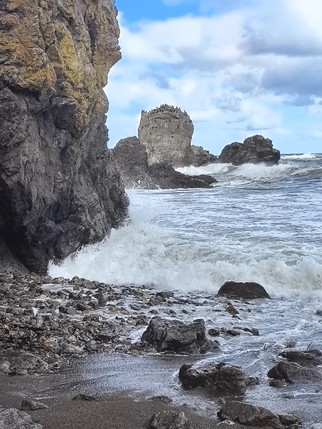 Прекрасная экскурсия с замечательным гидом Анатолием! Увлекательная поездка к мысам Птичий и Великан удалась на славу