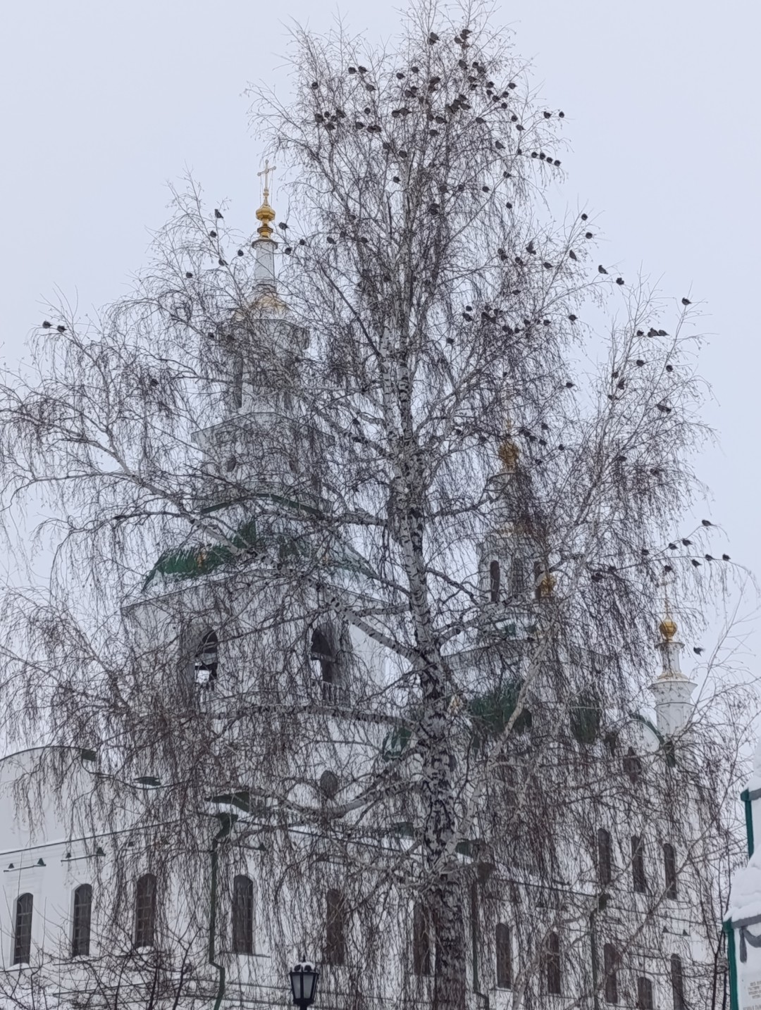 Мы, группа из 4 человек из Москвы. Приехали в Сибирь расширить кругозор. Нам очень повезло с