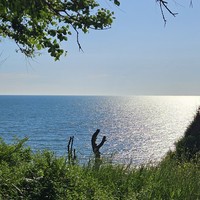 Фото отзыва 1: экскурсия "Променад по Геленджику"