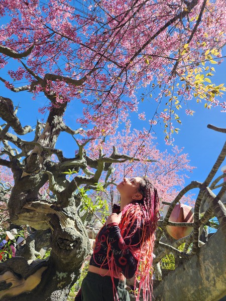 Далат на максимум (из Нячанга) (Алёна)