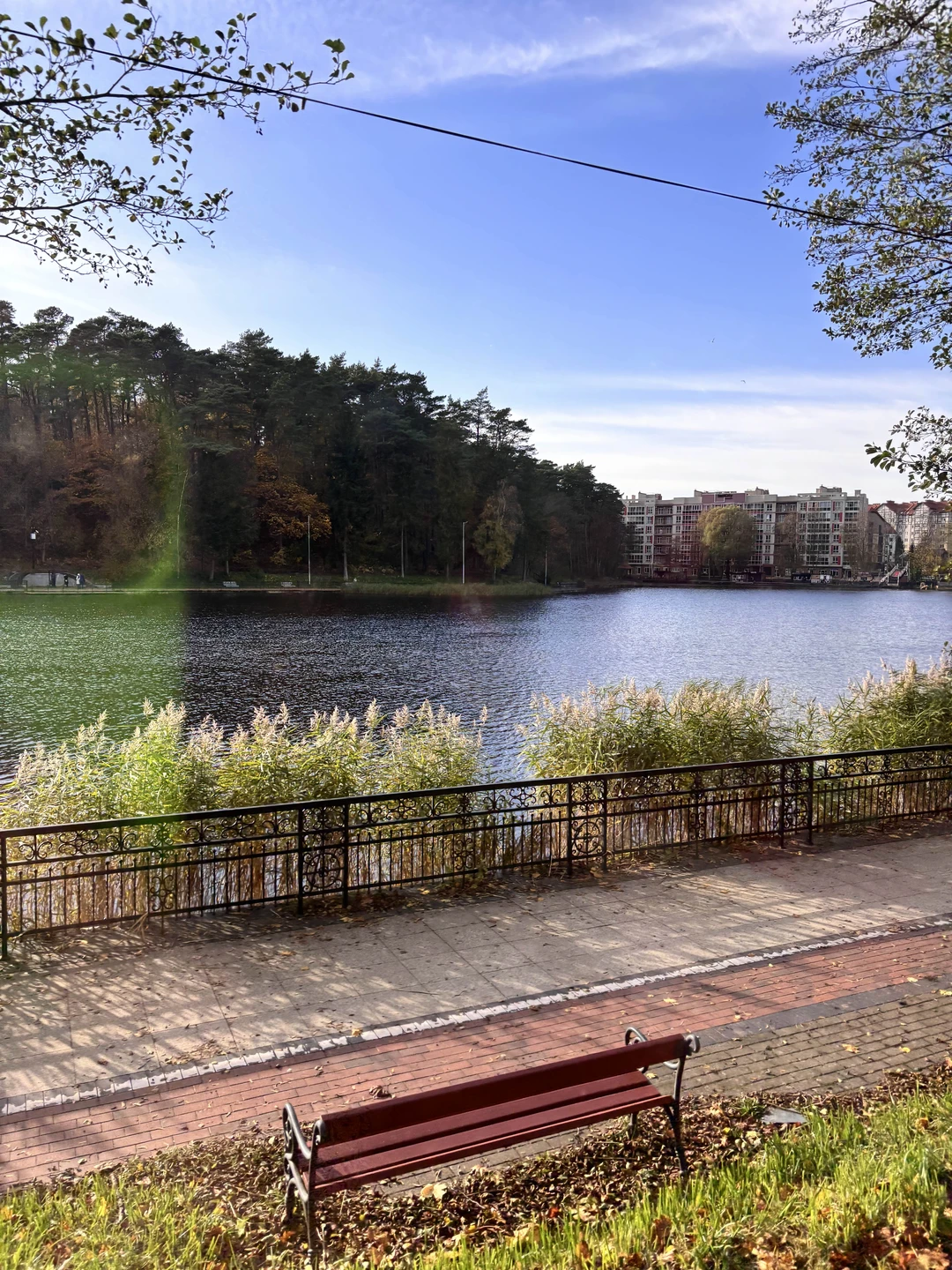 Экскурсия насыщенная но в самом Светлогорске очень мало времени, поэтому мой совет не слушайте гида его