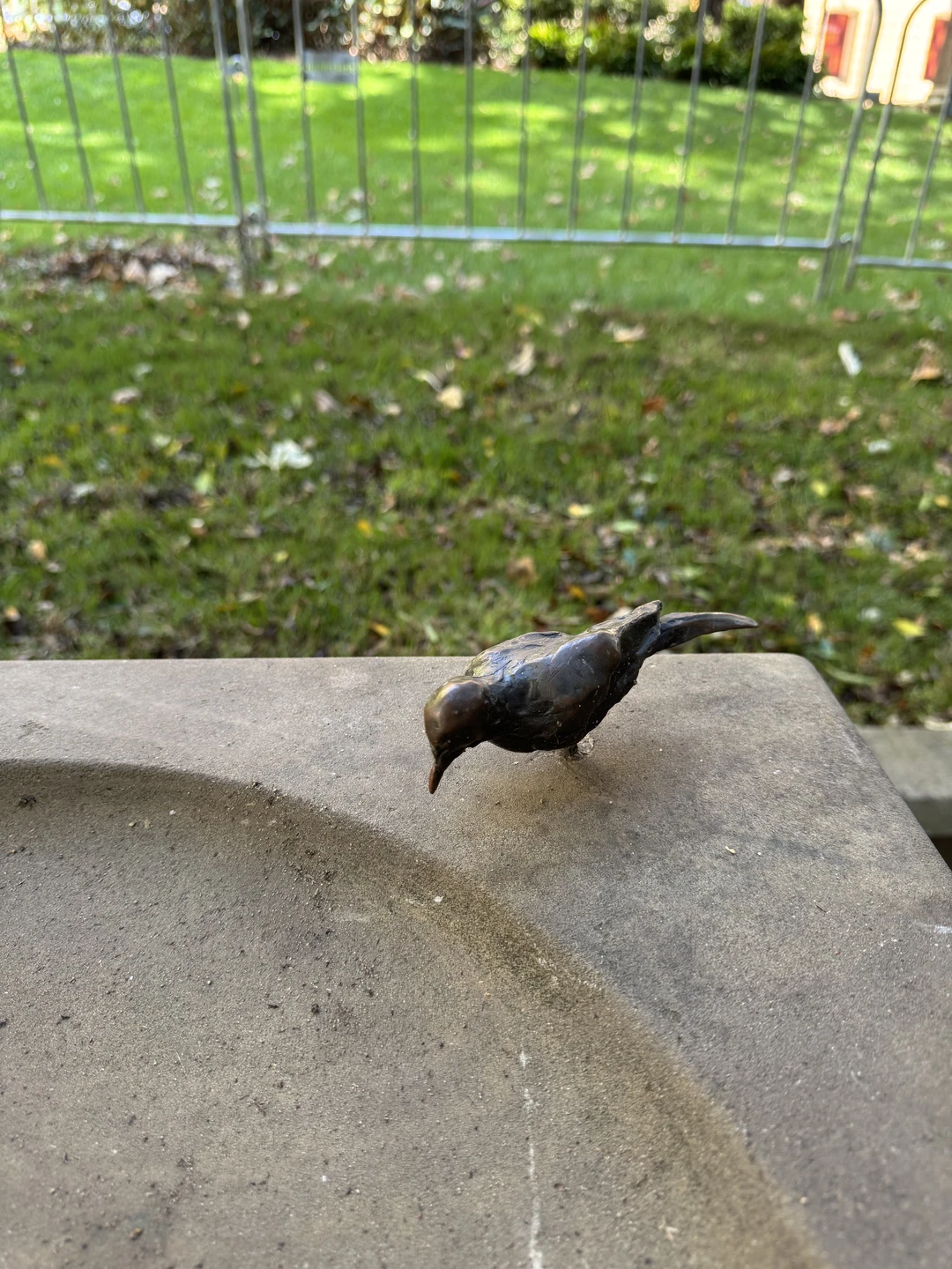 Увлекательно, познавательно, всё просто замечательно) Приехать в Сидней без знания английского - та ещё авантюра, но