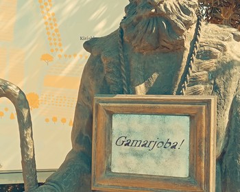 Финальные прогулки по столице, возвращение домой