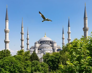 Встреча, размещение в отеле, первая прогулка по Стамбулу, посещение Голубой мечети