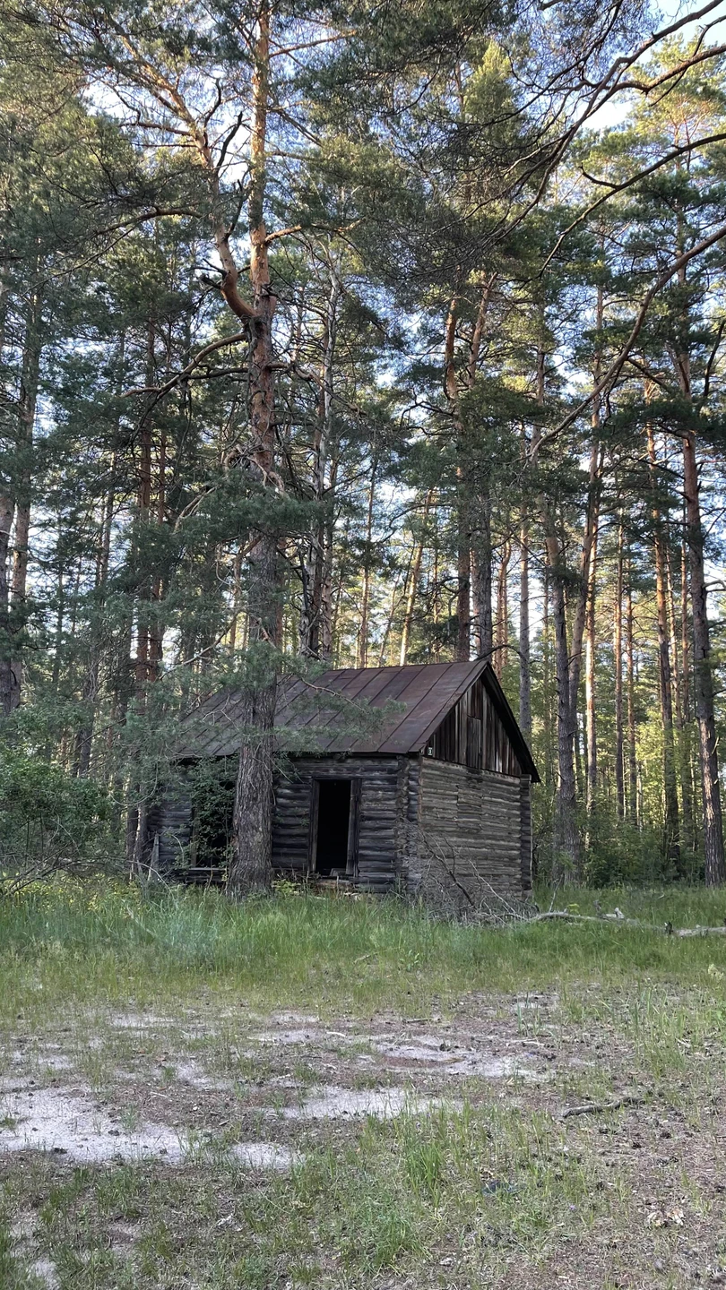 Впервые катались на велосипедах по такой местности. Если вы любите природу, ее ароматы, красоту, то определенно