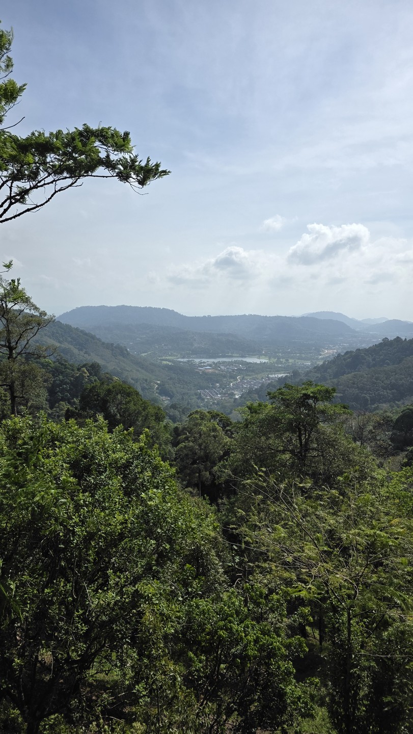 Очень понравилась прогулка к водопаду Кату, пешеходный маршрут начинается недалеко от Камала и идёт через джунгли,