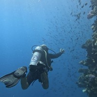 Фото отзыва 2: экскурсия "Дайвинг в Шарм-эль-Шейхе"