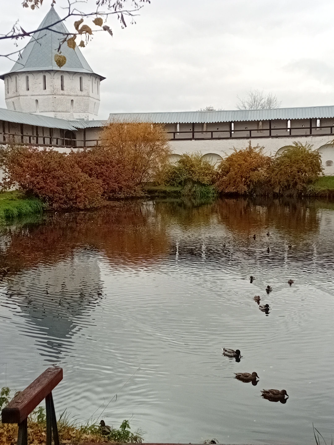 Экскурсия с Алексеем по Спасо-Прилуцкому монастырю очень понравилась. Алексей - замечательный рассказчик! Чувствуется, что человек обладает