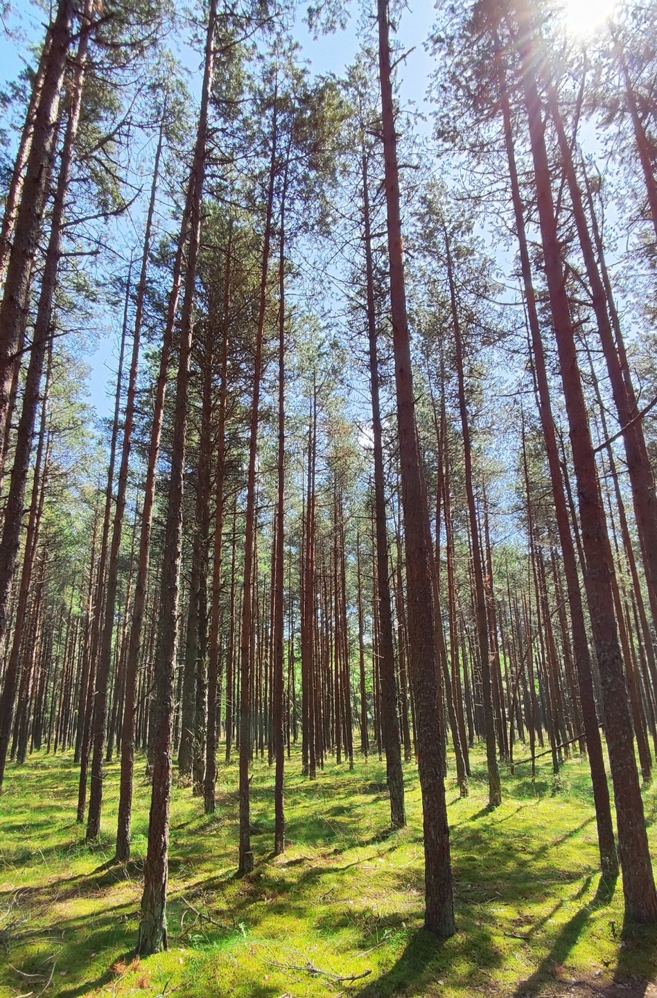 Мы видели как научный работник орнитологической станции нам показательно окольцовывал птицу!!!