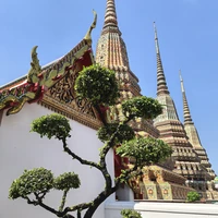 Фото отзыва 1: экскурсия "Бангкок: Королевский дворец + прогулка на лодке"