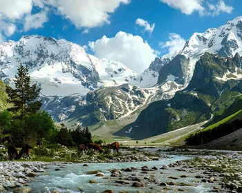 Эльбрус и Поляна нарзанов