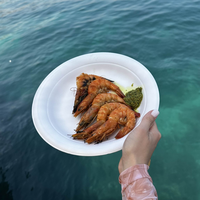 Фото отзыва 5: экскурсия "Морской круиз на полуострове Мусандам (всё включено)"