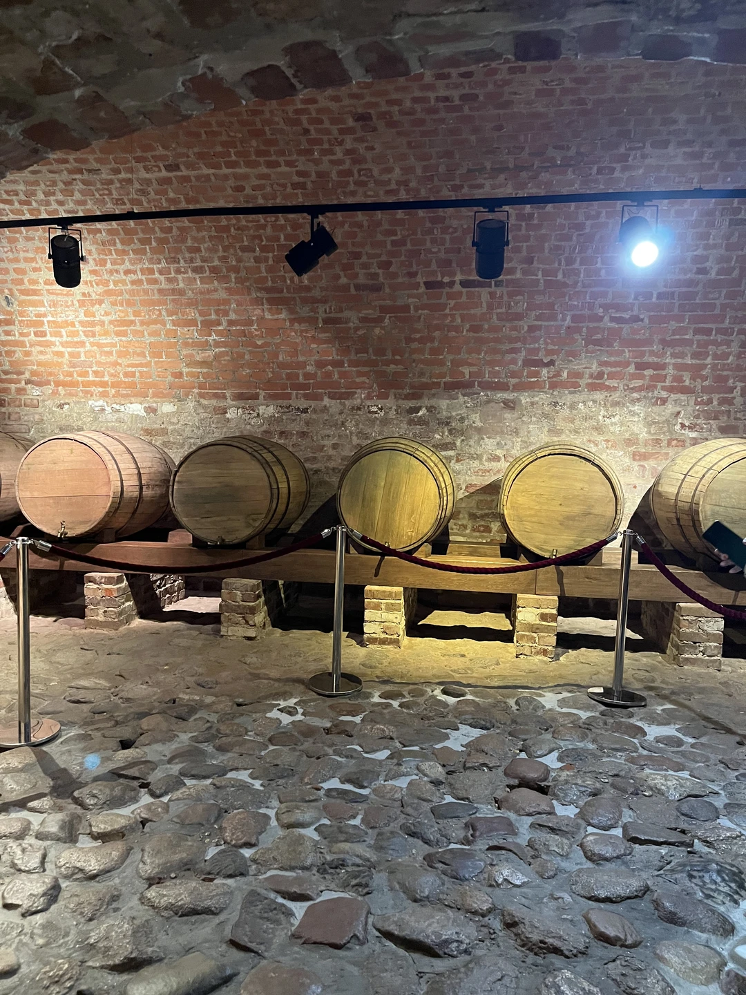 Самая лучшая экскурсия, от замков в восторге, гид Анатолий очень эрудированный и интересный рассказчик, Белоруссия впечатлила