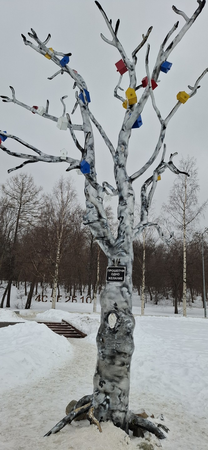 Почувствовать Петрозаводск: особенная пешеходная прогулка (Сусанна)