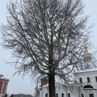 Фото отзыва 2: экскурсия "Интерактивная экскурсия по Кремлю.                        
Коломна — град соцарственный."