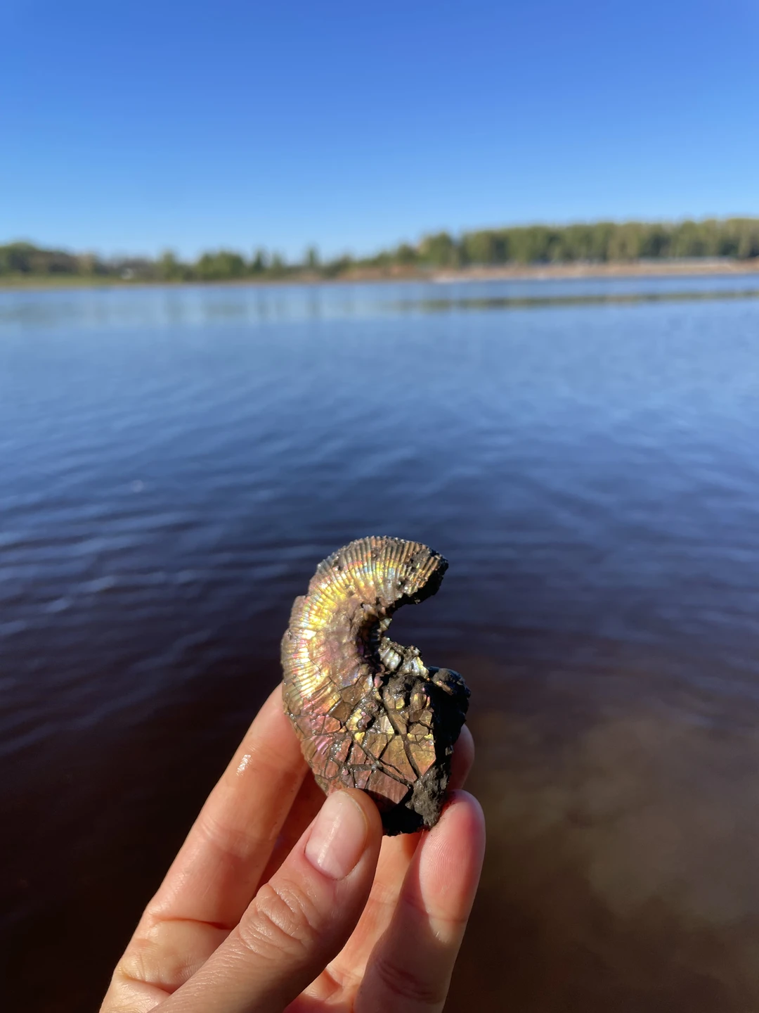 интересный маршрут, очень насыщенный, очень интересные рассказы и Профессор Дмитрий, главный по аммонитам 💪🏽 спасибо Владимиру