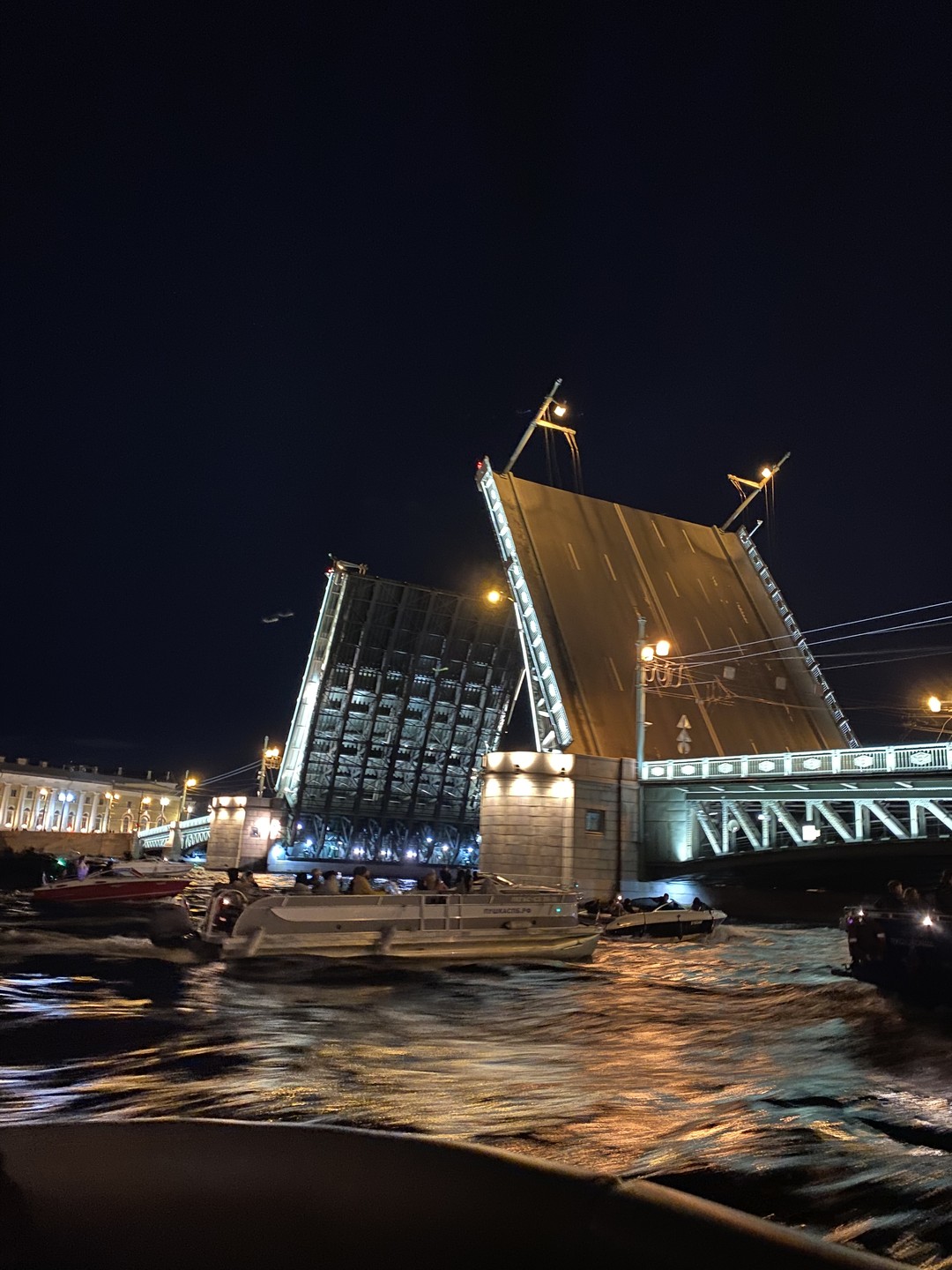 Прогулка на катере на развод мостов (Екатерина)