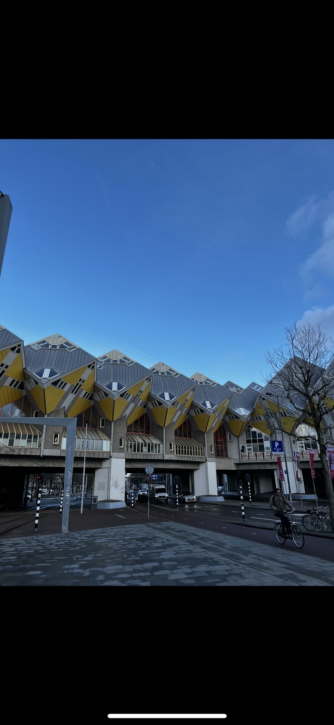 Роттердам по максимуму (Елена)