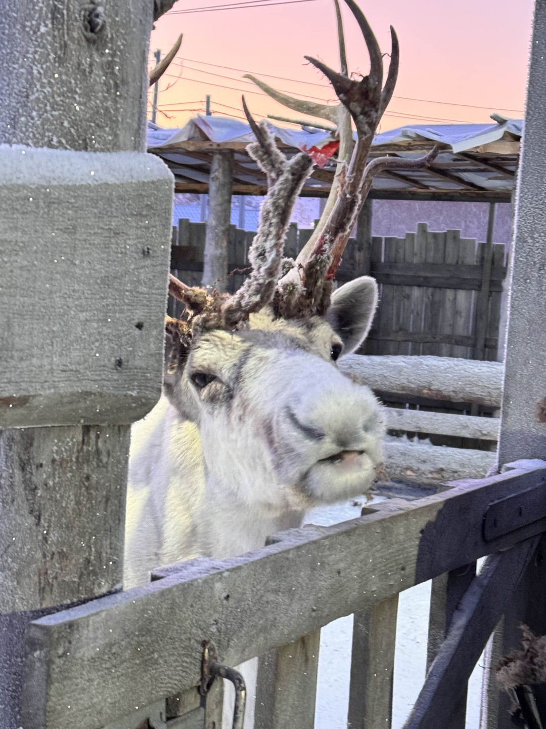 Териберка: водопады, скалы и фьорды (HEDI)