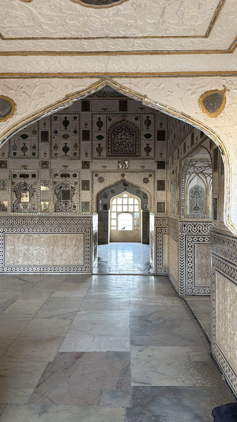 У гида Мохсина я бронировала экскурсию по Агре и по Джайпуру, а также трансфер из Агры