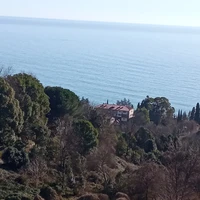 Фото отзыва 1: экскурсия "Абхазия во всей красе: путешествие по знаковым местам (из Гагры)"