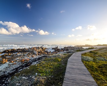 Херманус, мыс Игольный и очковые пингвины