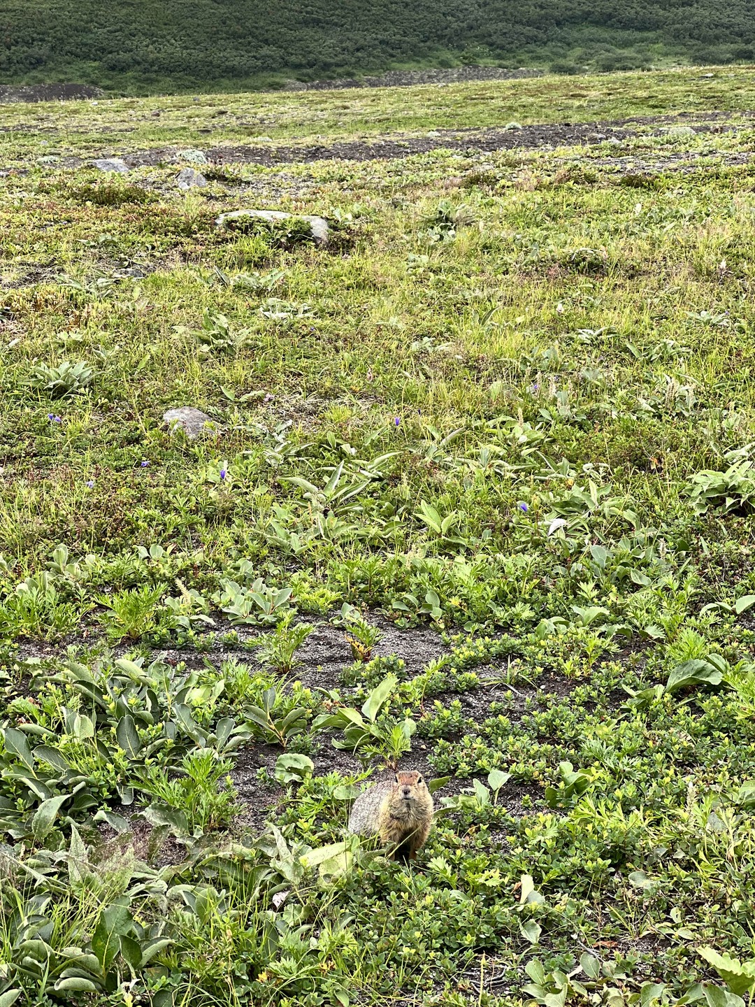 Очень понравилось восхождение на верблюд. Андрей - прекрасный гид и очень отличный человек, с которым очень
