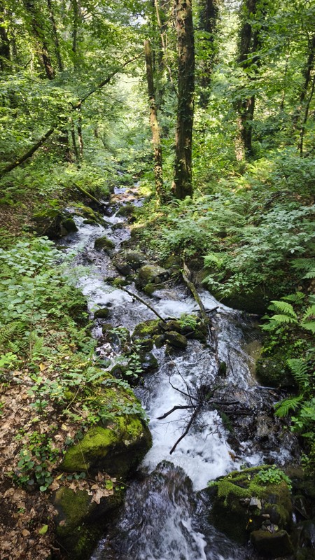 Чудеса горного Сочи: источник Мацесты, водопады и чайные плантации
